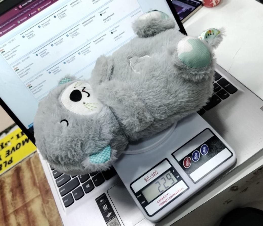 CalmBreath Teddy – Soothing Plush with Music