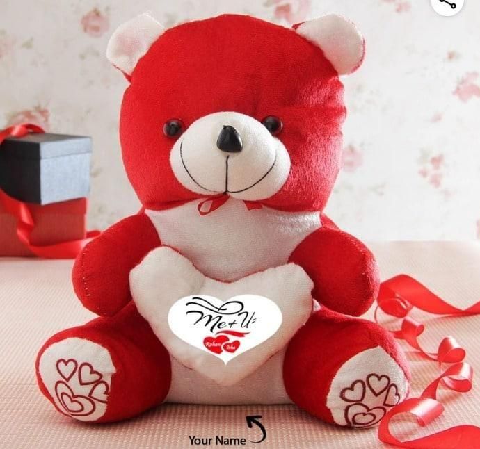 Heart Message Soft Teddy Toy