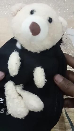 Cute Teddy Plush Crossbody Chest Bag