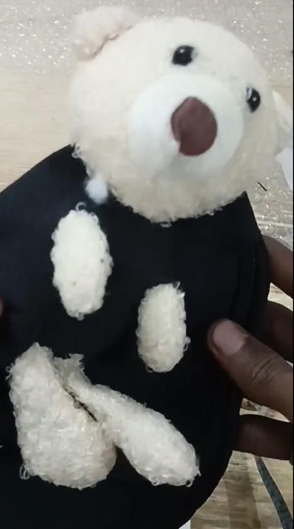 Cute Teddy Plush Crossbody Chest Bag