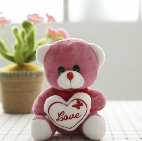 Heart Message Soft Teddy Toy