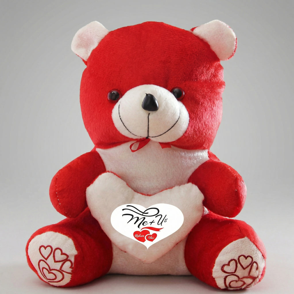 Heart Message Soft Teddy Toy